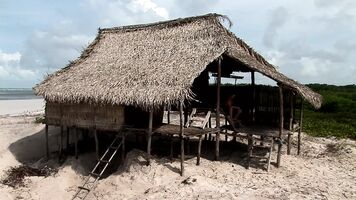 On an island two erotopathic couples fuck in an novice beach house